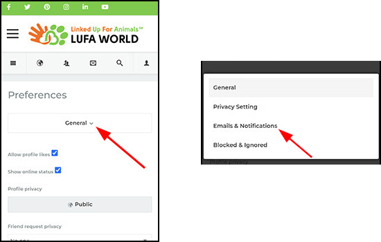notification mobile adjustment